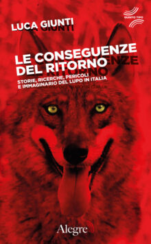 Le-conseguenze-del-ritorno-cover-fronte